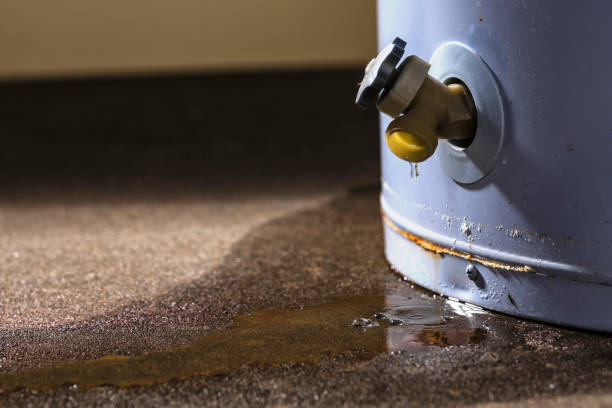 Best Carpet water damage restoration  in Fort Lewis, WA