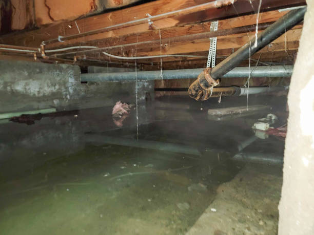 Best Water damage restoration near me  in Fort Lewis, WA