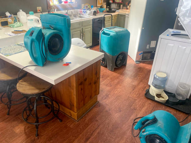 Best 24/7 water damage repair  in Fort Lewis, WA