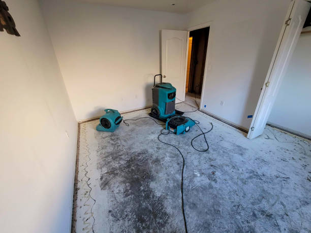 Best 24/7 water damage repair  in Fort Lewis, WA