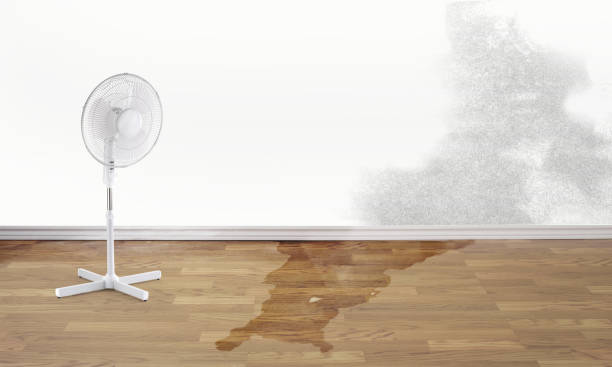 Local water damage restoration in Fort Lewis, WA