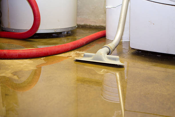 Reliable Fort Lewis, WA Water damage restoration Solutions