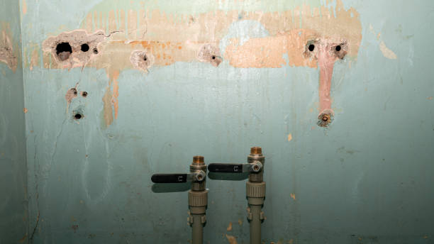 Best Basement water damage restoration  in Fort Lewis, WA