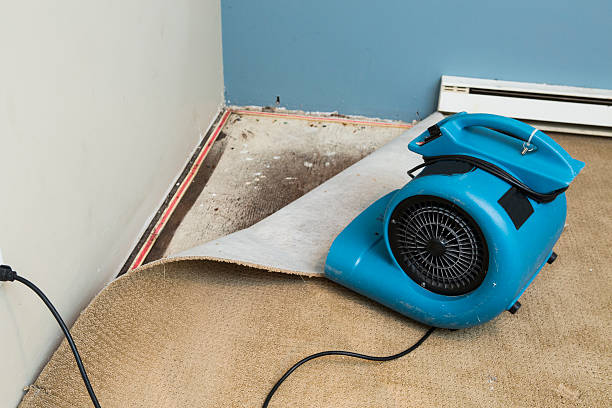 Best 24-hour water damage restoration  in Fort Lewis, WA